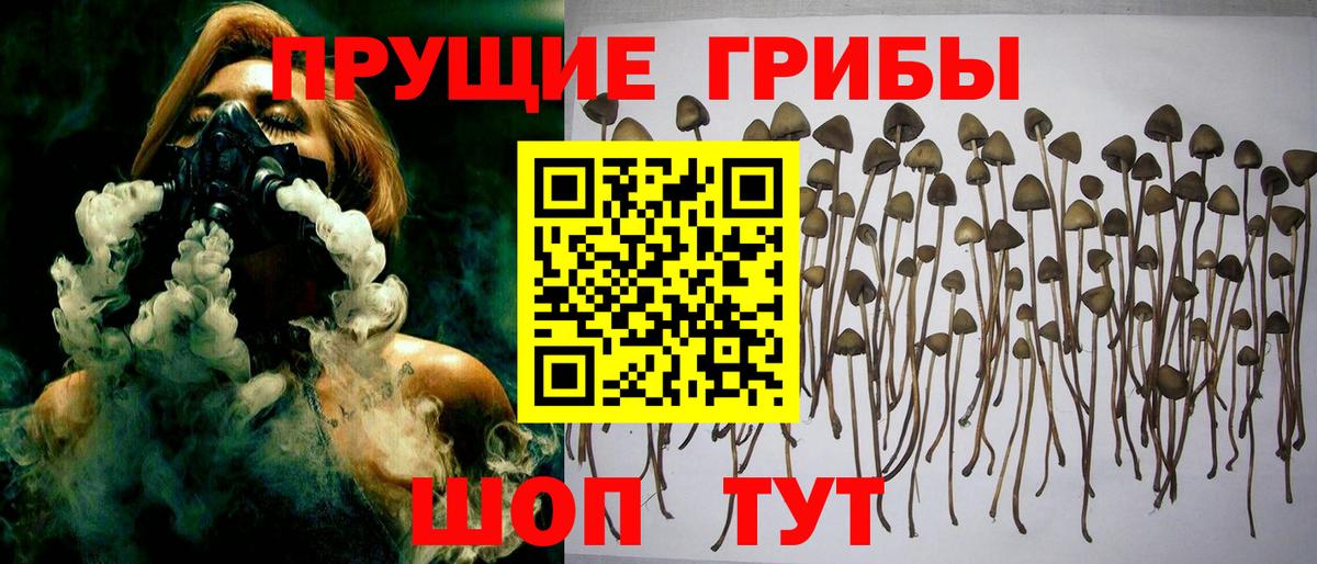 Псилоцибиновые грибы мухоморы  Галлюциногенные грибы прущие грибы  Вход с VPN  Чистополь 