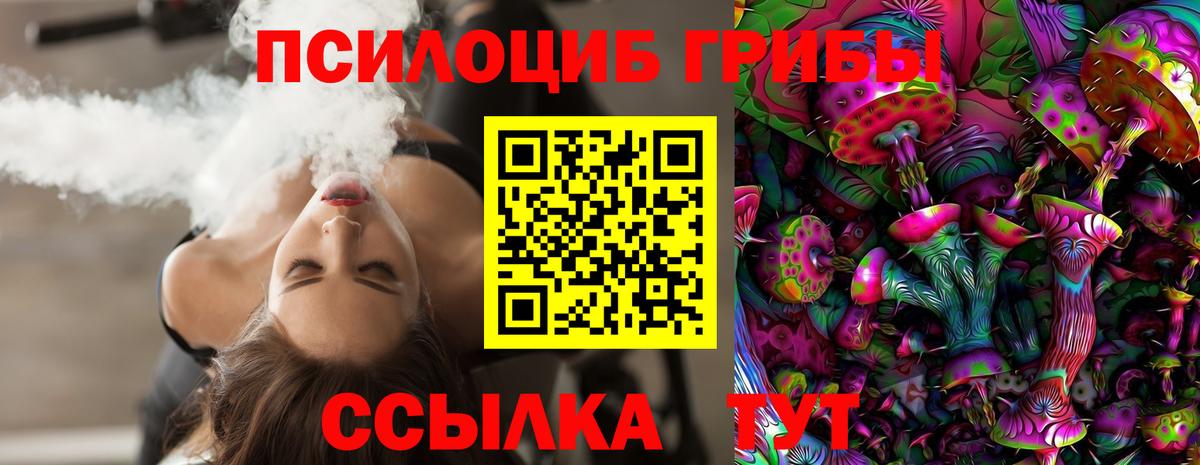 Псилоцибиновые грибы Cubensis Чистополь